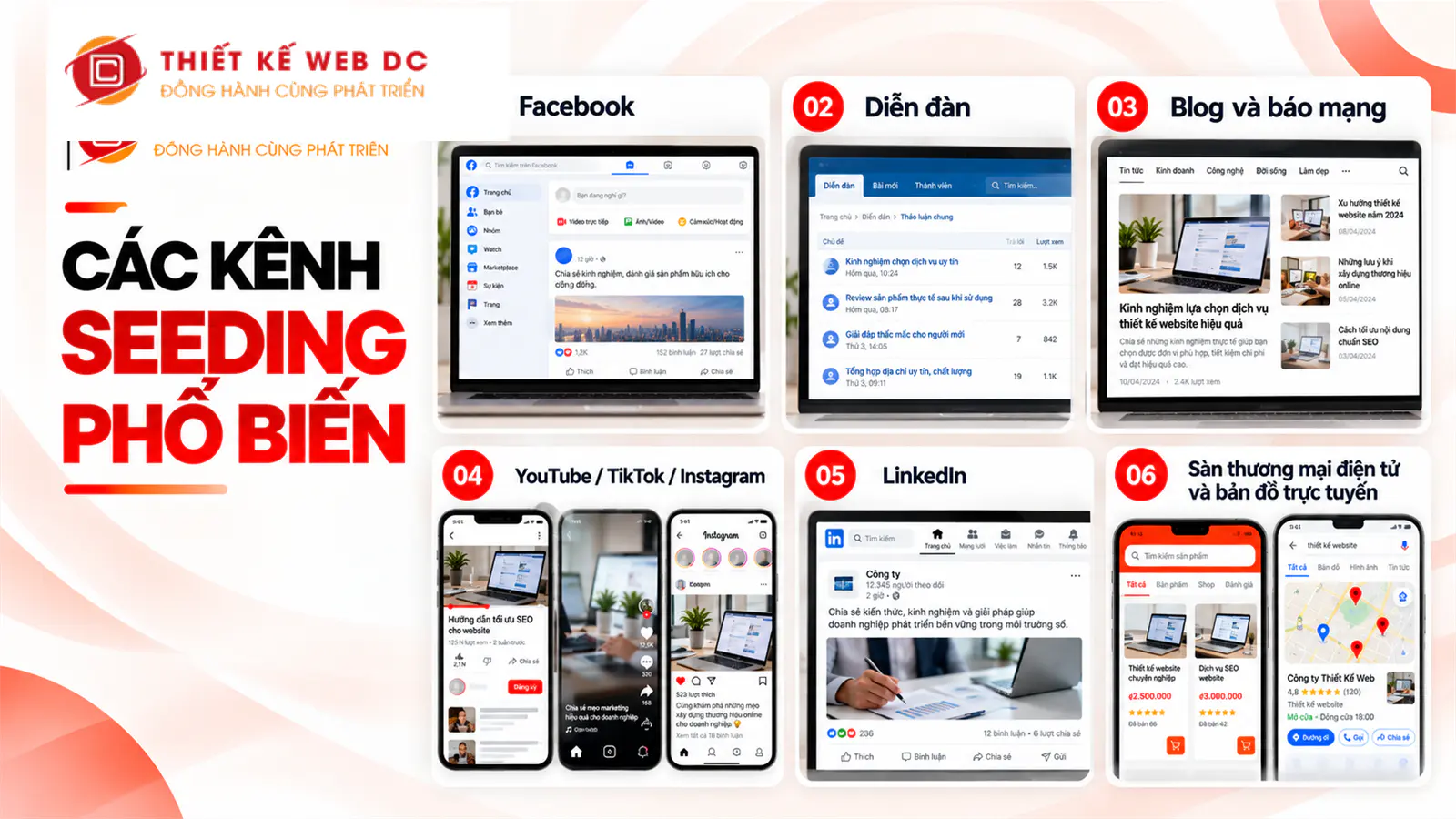 Các kênh seeding phổ biến như Facebook, diễn đàn, blog và TikTok
